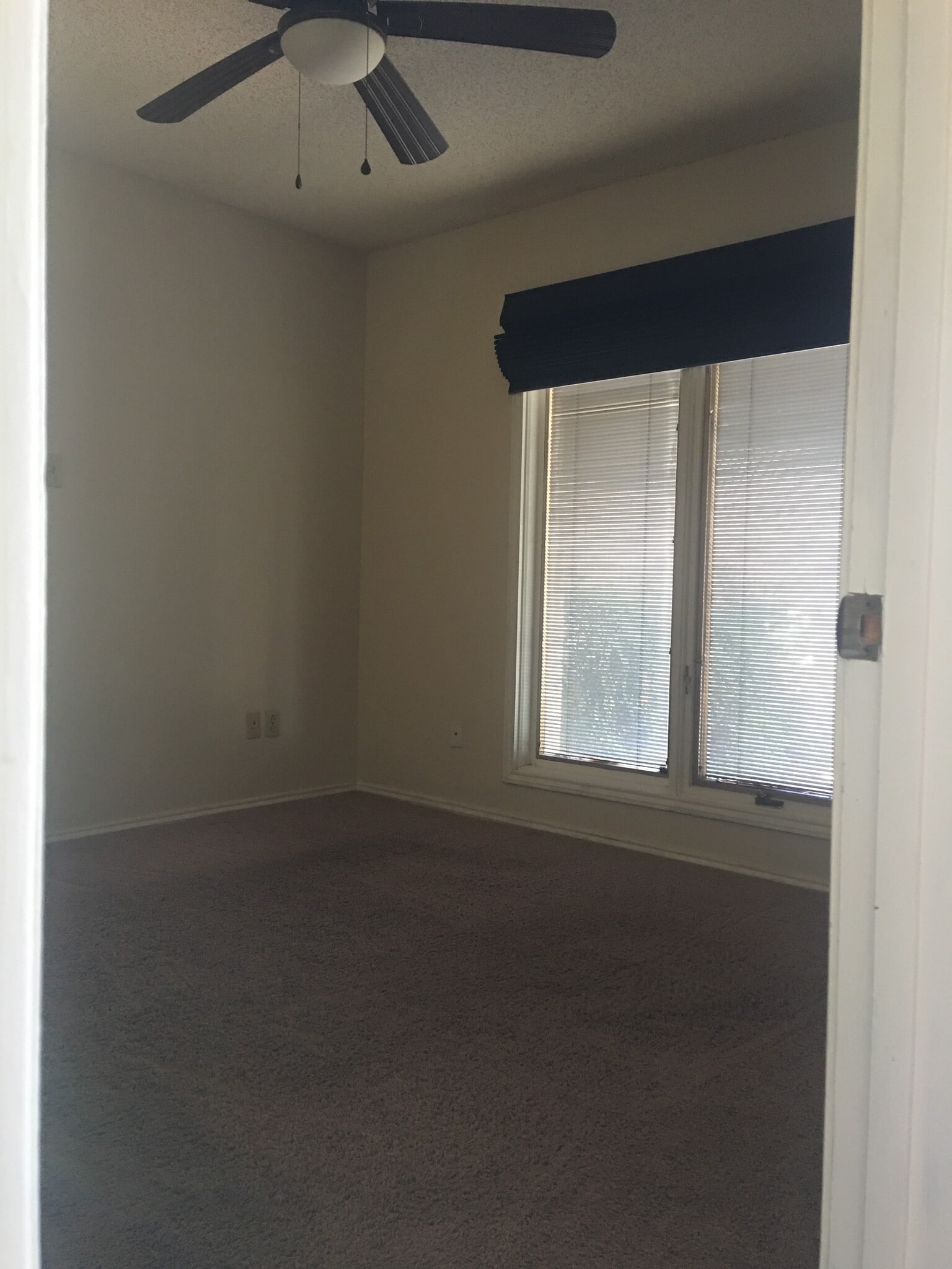 Bedroom #2 - windows with custom pull shade (black) room size appx 11x11 - 5207 90th St