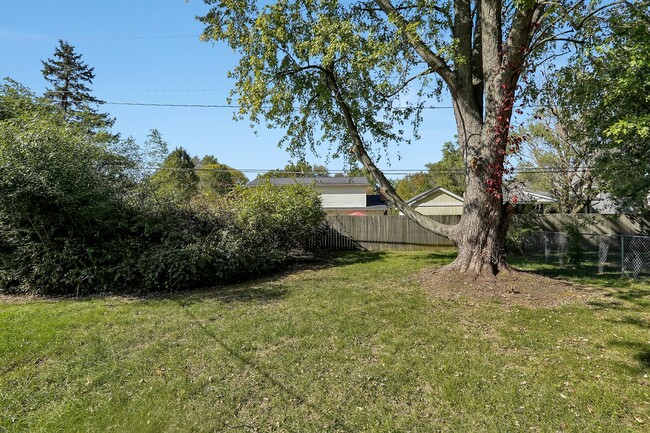 Fenced in backyard - 191 Murnane St