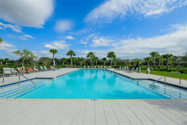 Building Photo - 3806 Savanna Palms Ct