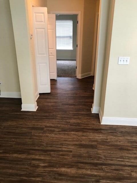 Building Photo - 3975 Forsythe Park Ct