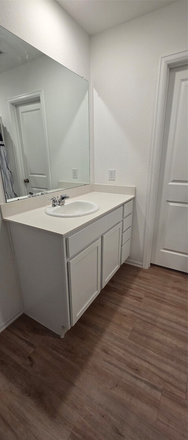 Building Photo - 4155 Brazos Brk Trl