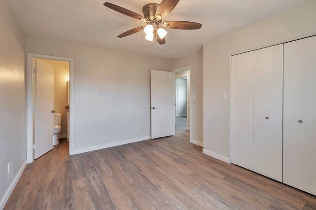 Building Photo - Amazing house on huge lot near ASU