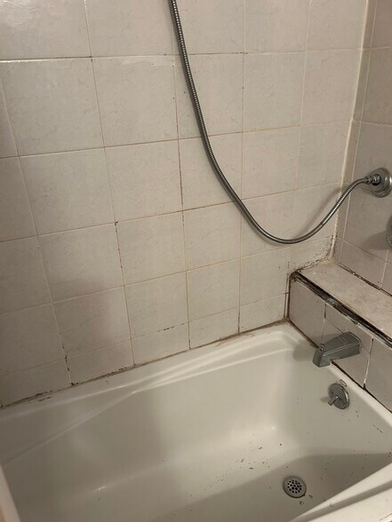 Full bathroom with room four laundry - 157 Langham St