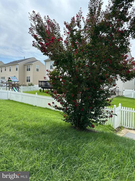 Building Photo - 9610 Hazelbrook Ct