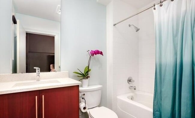 Building Photo - Veer Lofts Condominiums -  South Lake Union