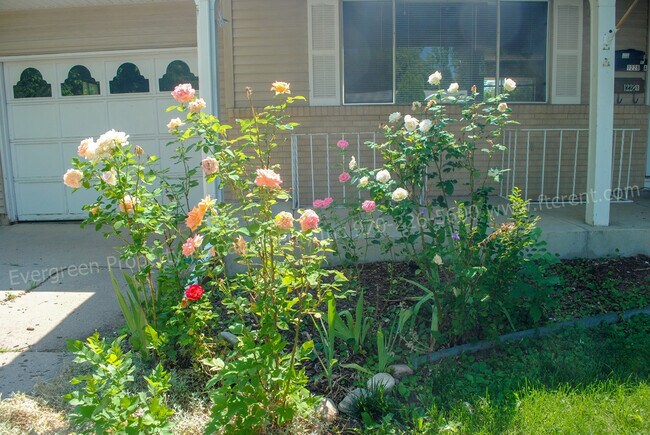 Building Photo - 1228 Southridge Dr