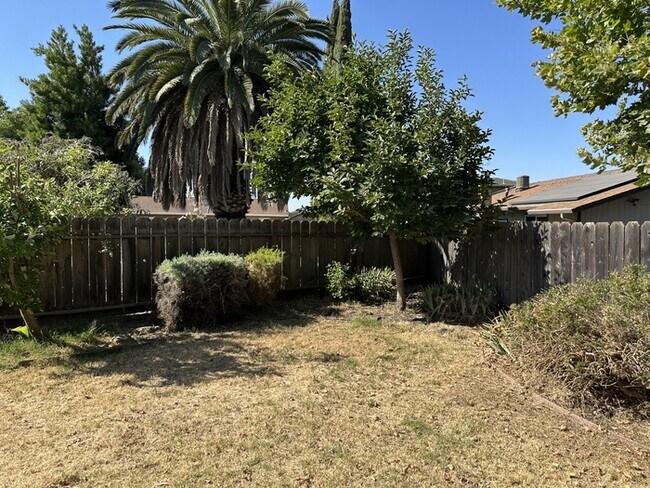 Building Photo - Beautiful Manteca 3 Bedroom Single Story H...