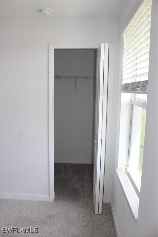 Building Photo - 4254 Canova Ct
