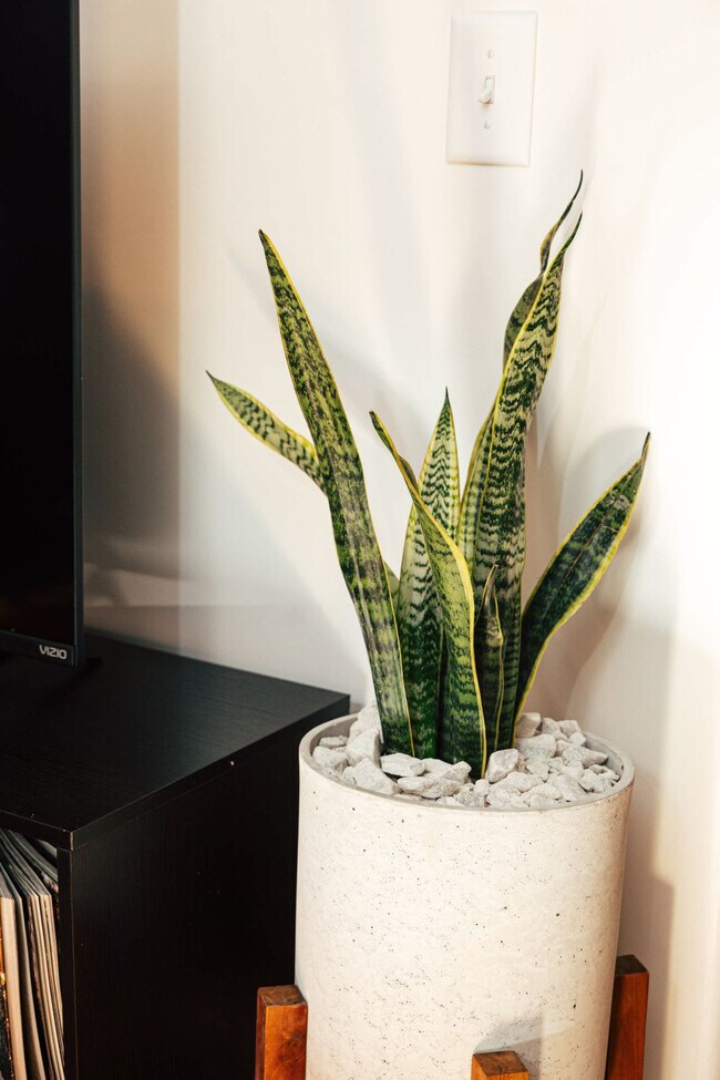 Building Photo - 1911 3rd Ave N