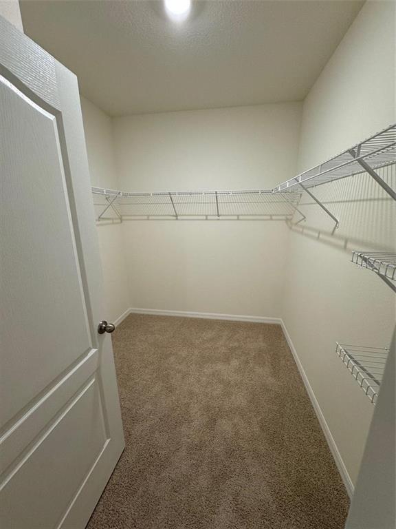 Building Photo - 240 Taylor Grvs St