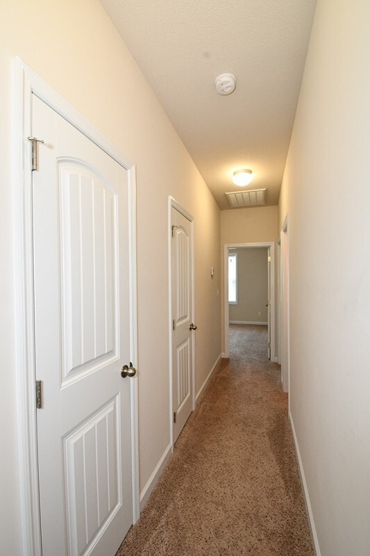 Building Photo - MOVE-IN READY Carolina Forest