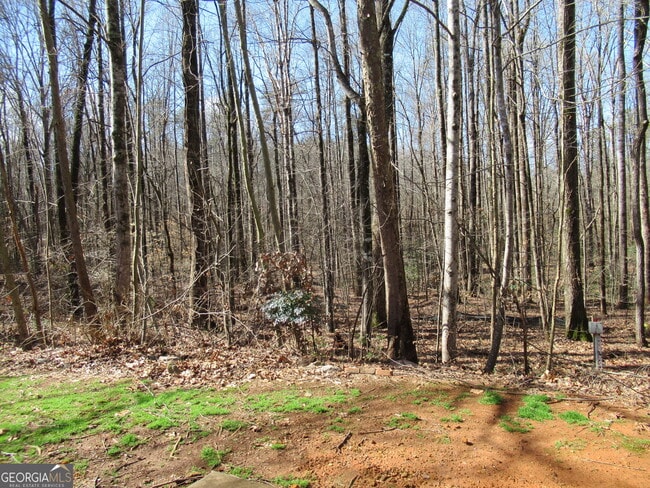 Building Photo - 95 Live Oak Rd