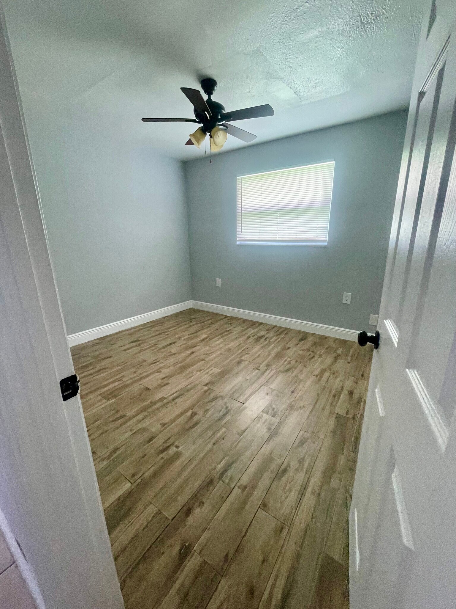 Building Photo - 311 Avanda Ct