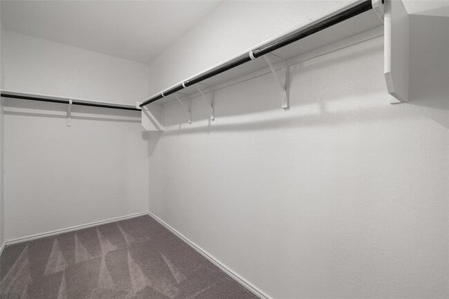 Building Photo - 78 Snowy Plover Ln