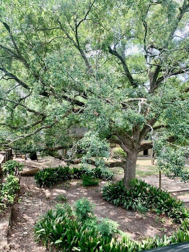 Building Photo - 2BD/2BA Condo for Lease on Park Blvd. Clos...