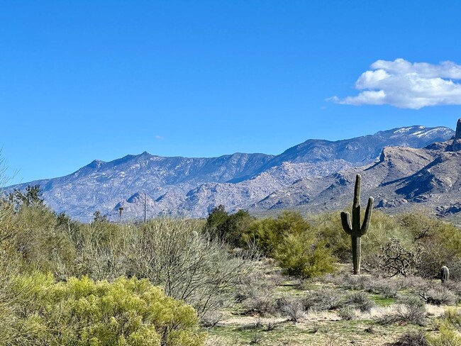 Building Photo - Beautiful Southwest Home with Mountain Vie...