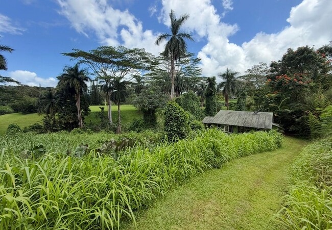 Building Photo - Remote riverside Kilauea cottage.