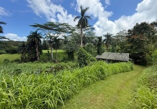 Building Photo - Remote riverside Kilauea cottage.