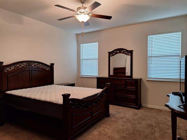 Building Photo - 305 Hackberry St