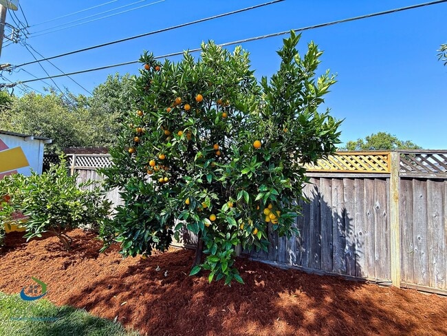Building Photo - 5331 Rimwood Dr