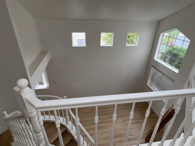 Building Photo - 3117 San Helena Dr