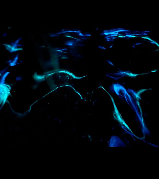 Building Photo - 5817 Flat Hill Dr