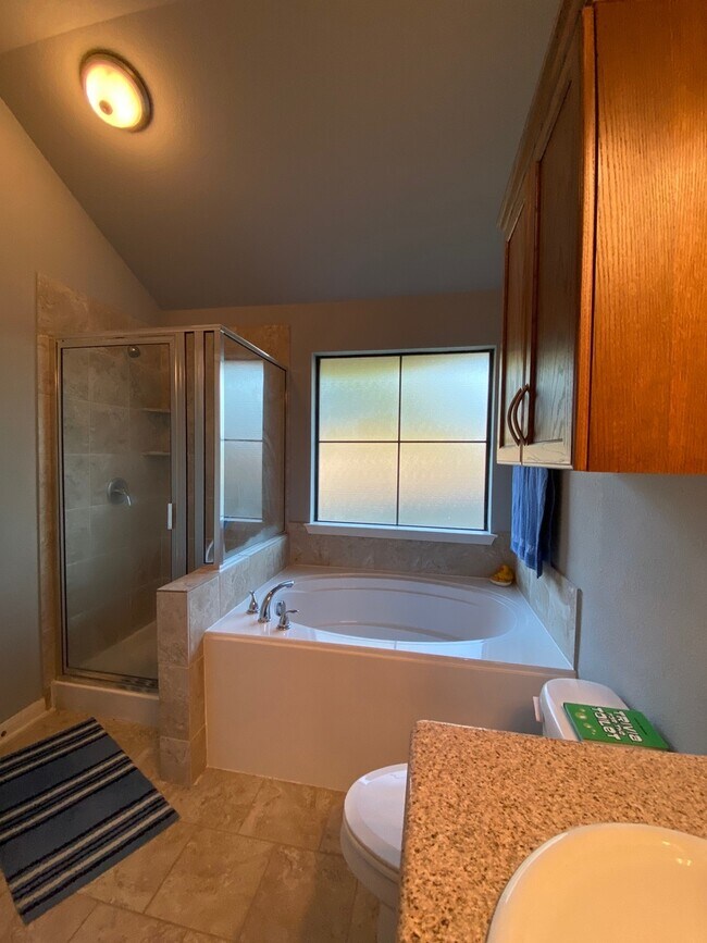 Building Photo - Single Family Home in Falcon Pointe | Chin...