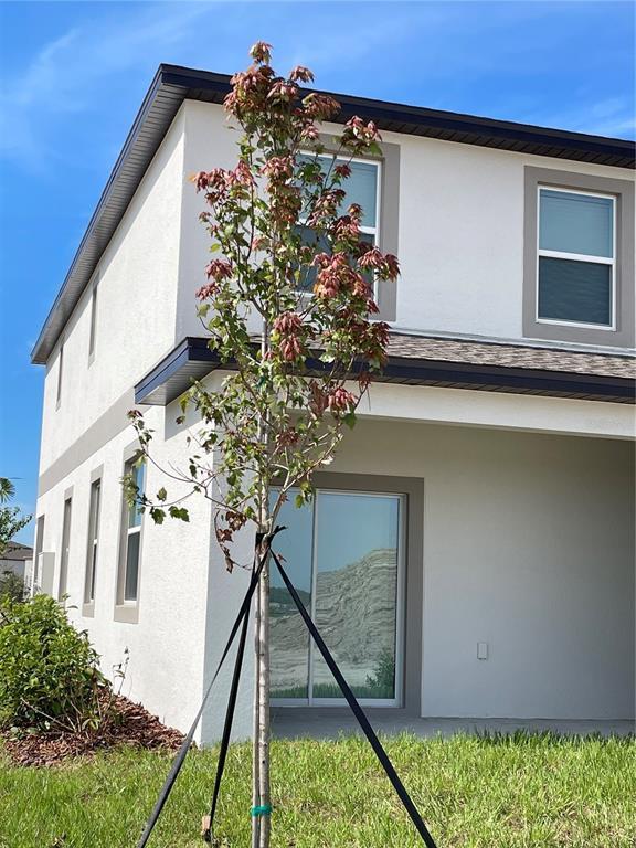 Building Photo - 32077 Powderpuff Mimosa Dr