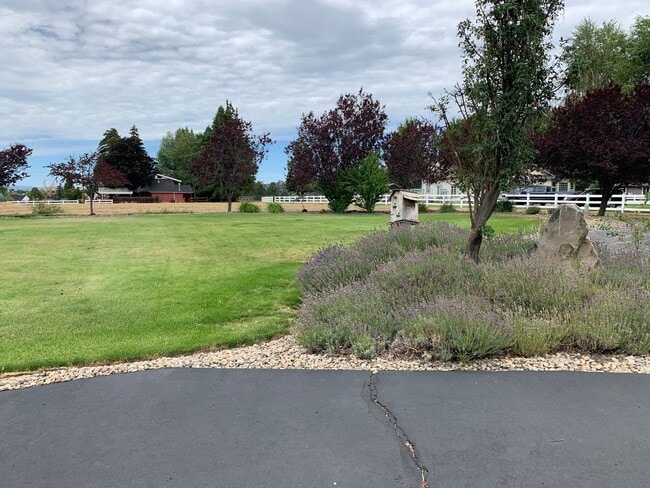 Building Photo - 4 Bedroom, 2 Bath in Pine Grove