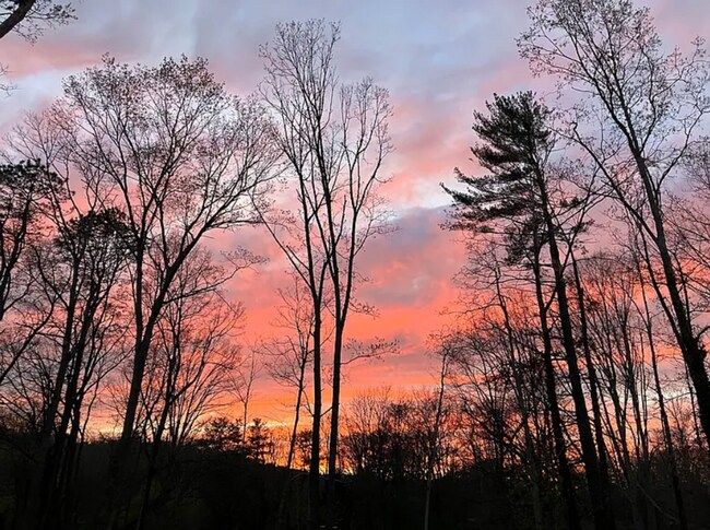 Building Photo - GORGEOUS NEW CONSTRUCTION IN HENDERSONVILLE