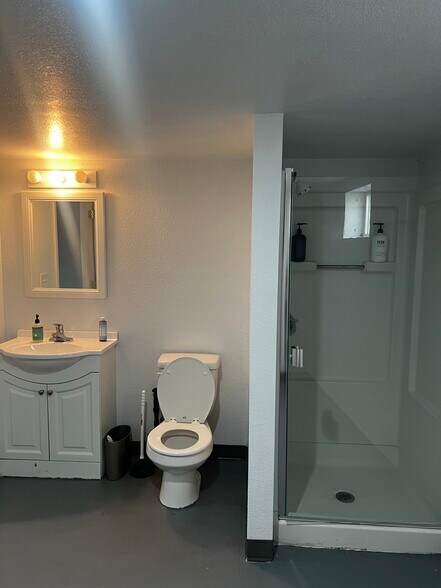 Basement bathroom - 219 E Montezuma Ave