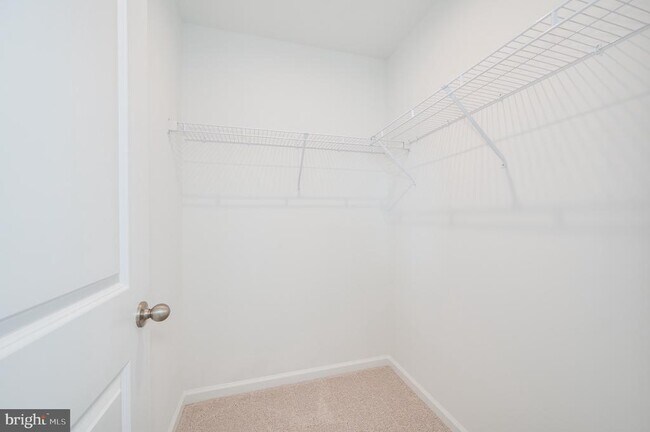 Building Photo - 24 Armistead Pl