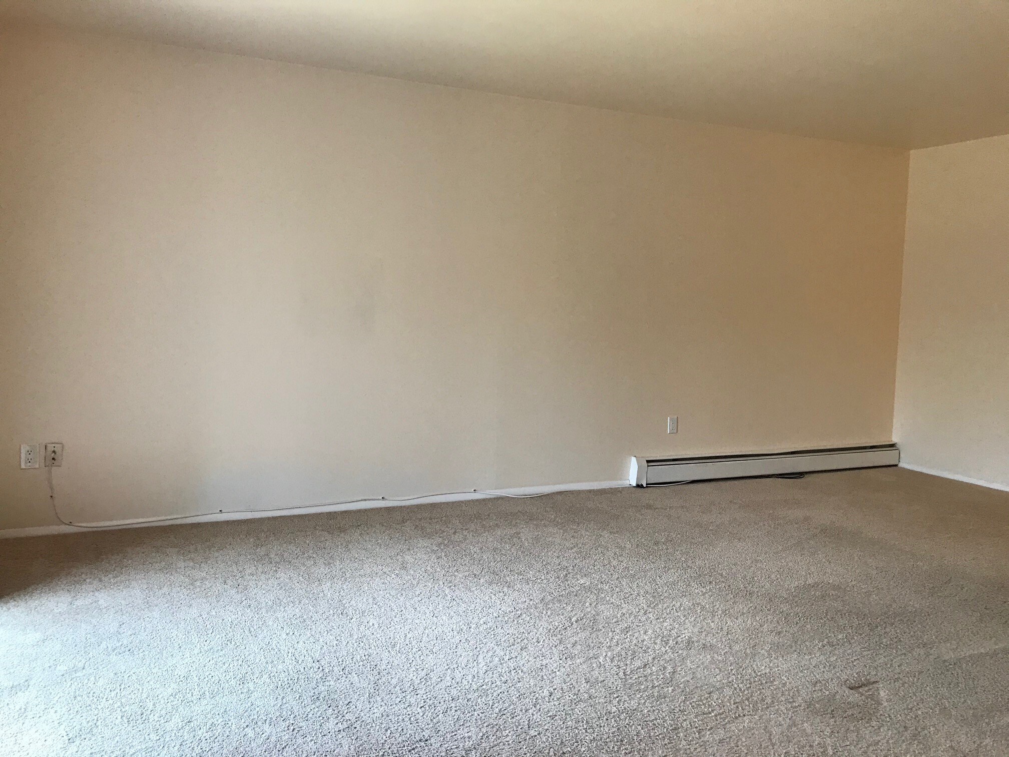 Large living room - 1408 Cherry Hill Dr