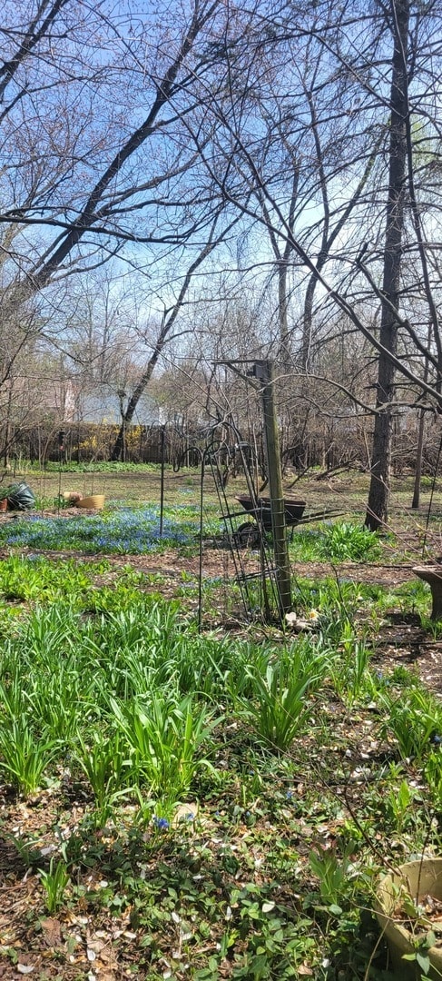 Building Photo - 6921 Clarendon Hills Rd