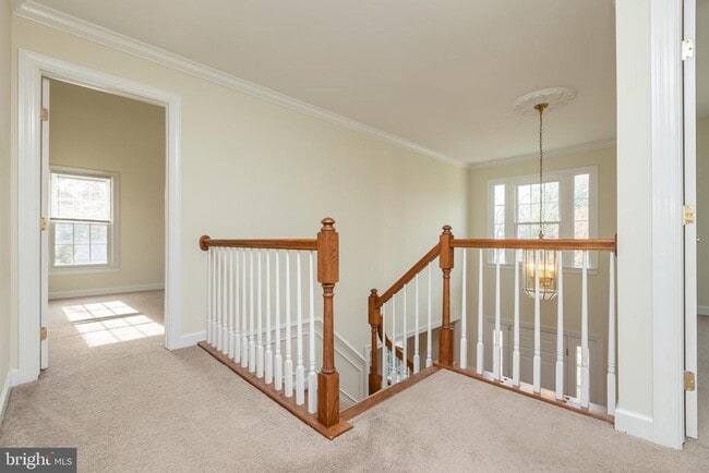 Building Photo - 14209 Floral Park Dr