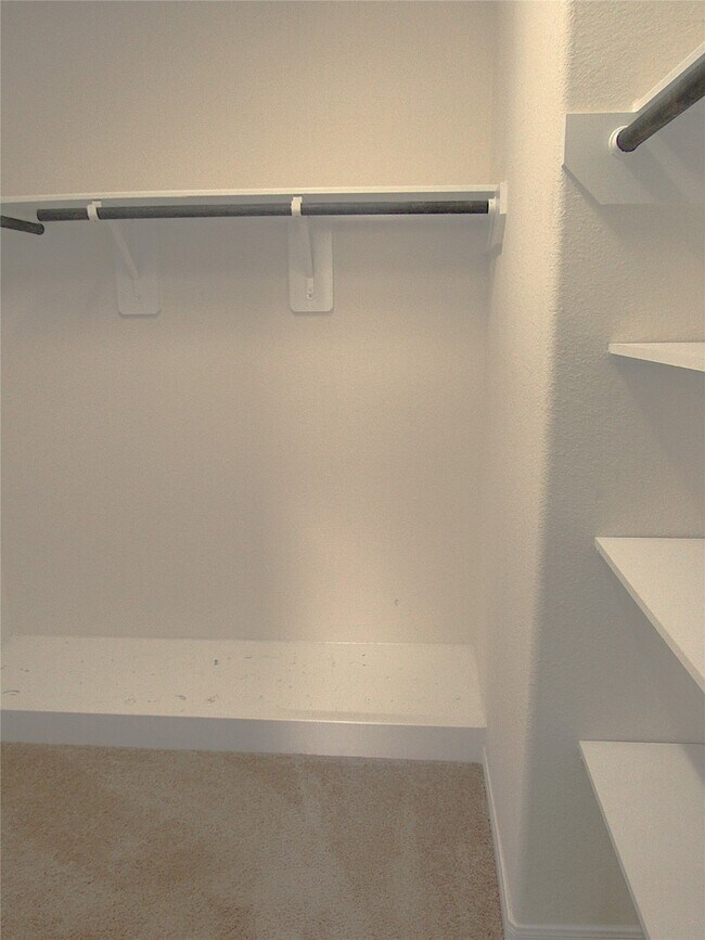 Building Photo - 17043 Amarose Dr