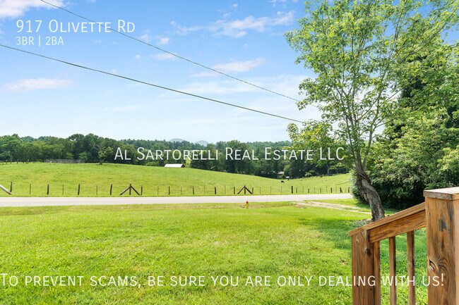 Building Photo - 917 Olivette Rd