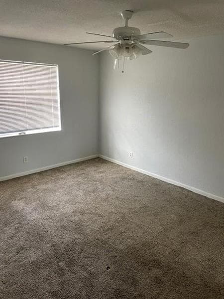 Building Photo - 355 Sunshine Dr