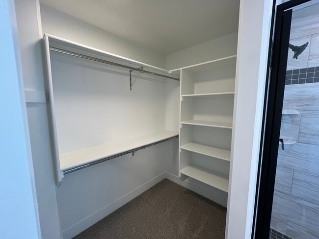 Building Photo - 184 Galena Smt Dr