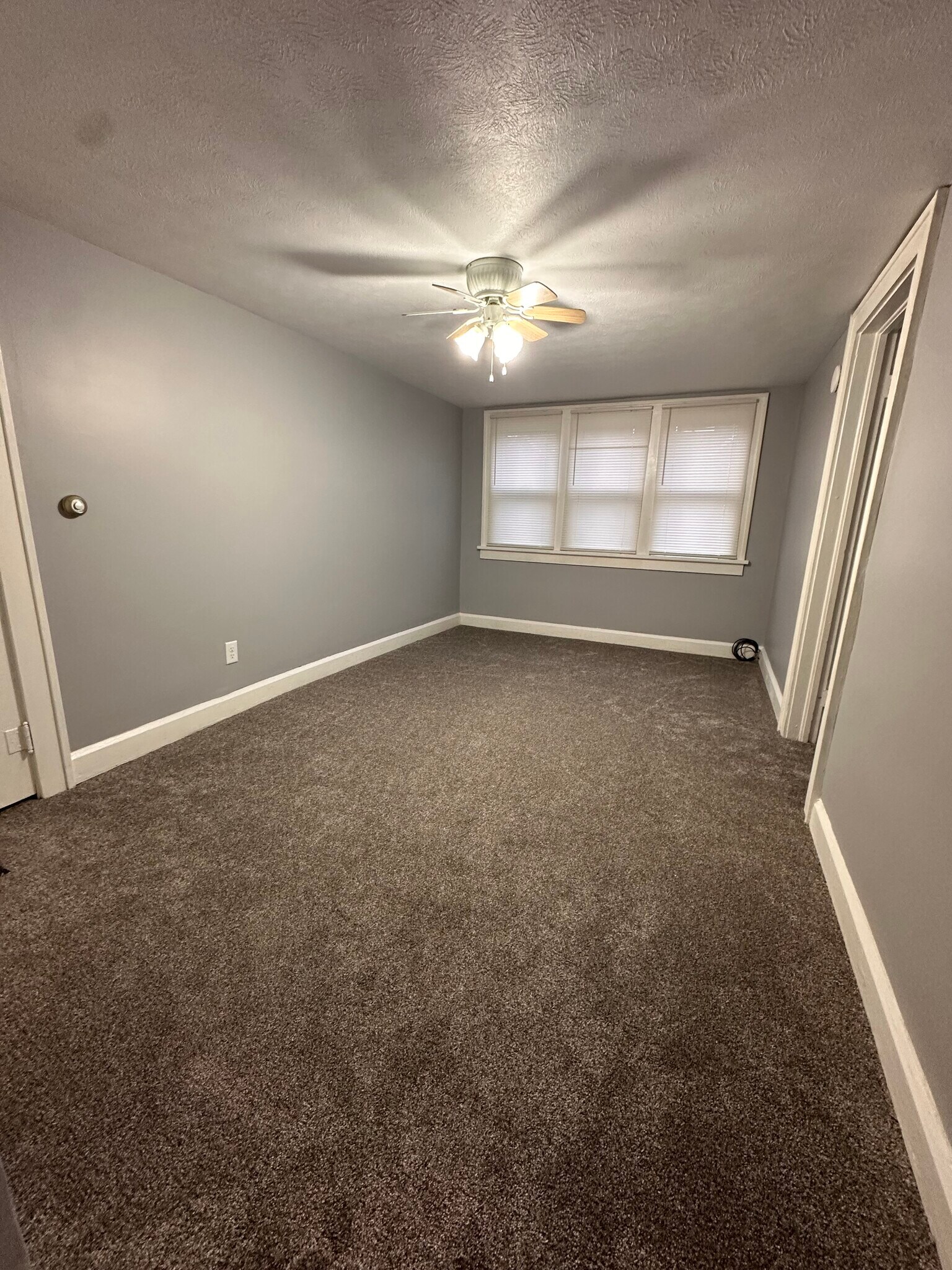 Living room with new carpet and windows with mini blinds. - 1841 E 5th St