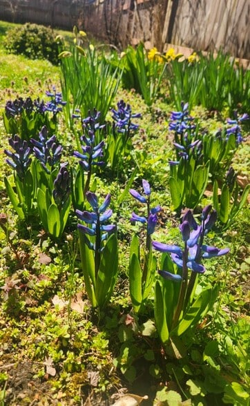 Building Photo - 2200 W 32nd St