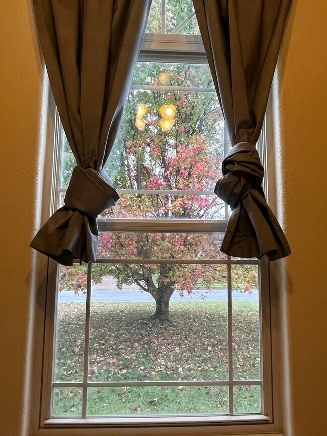 Building Photo - 5 bedroom and 3 bathroom two level house