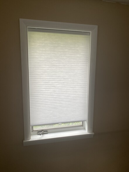 new hall cellular blind - 741 Ferdinand St