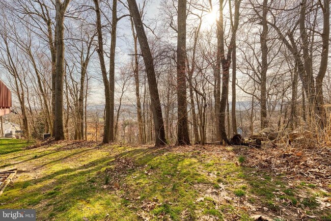 Building Photo - 10595 Blue Bell Way