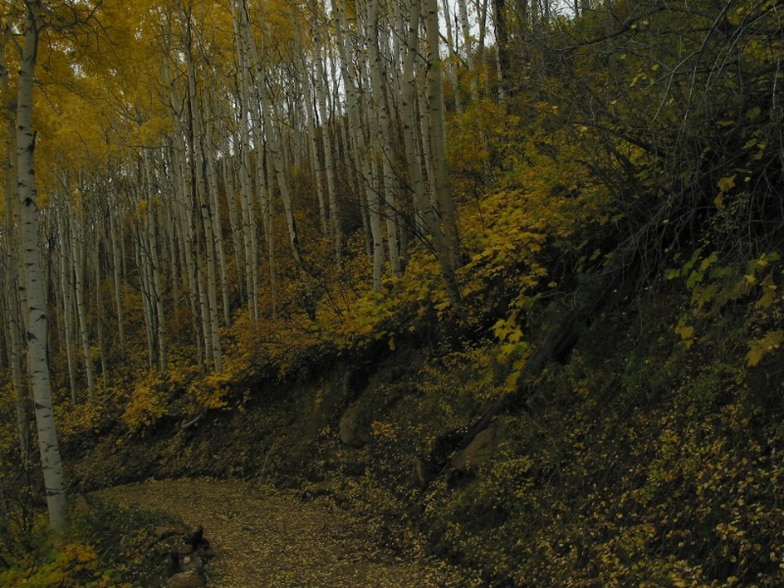 Building Photo - 39021 Holly Ln