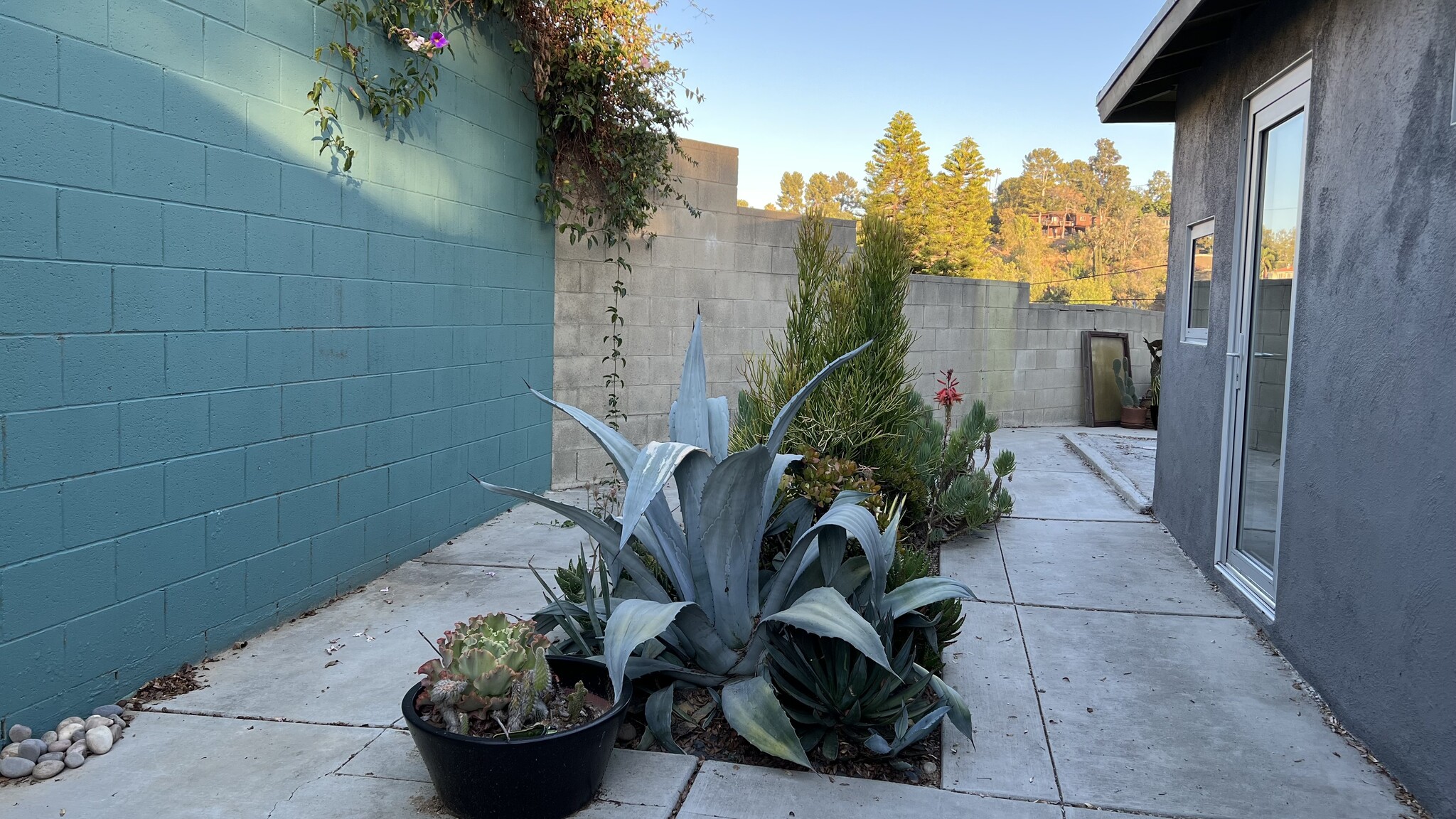 inset planter in rear patio - 4608 Nob Hill Dr