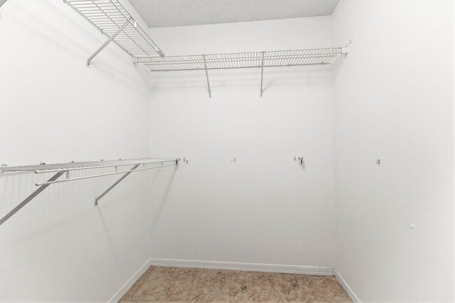 Building Photo - 3622 Coco Lake Dr