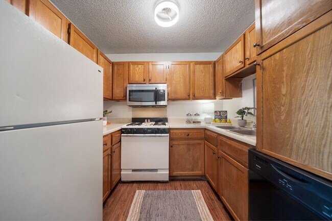 Building Photo - New Flooring and Upgrades!  2 Bedroom 1 Bath Available Now!