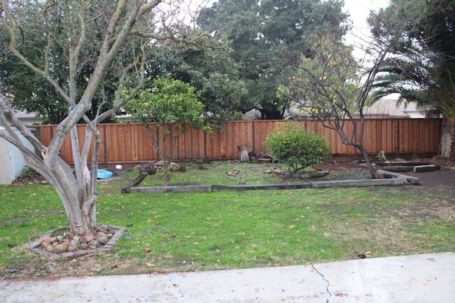 Building Photo - Charming 3 Bed 1 Bath House on tree lined street