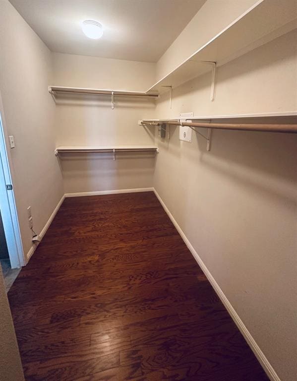 Building Photo - 2248 Fernspring Dr